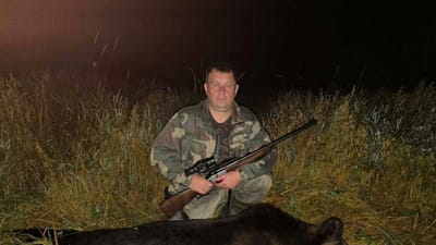 На Витебщине добыли уже седьмого медведя в этом сезоне