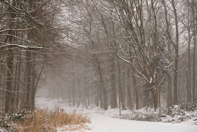 Налипание мокрого снега: о погоде на Гродненщине 14-16 декабря
