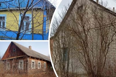 Нашли крепкие пустующие дома за 1 базовую – продадут без аукциона