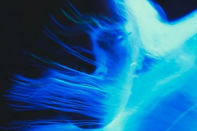 Никто не столь особенный, как они: только эти 2 знака зодиака обладают мощной синей аурой