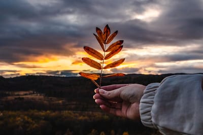Ночи становятся всё холоднее: прогноз погоды на 5-7 ноября по Гродненской области