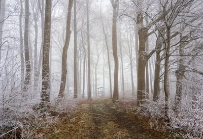 О погоде на Гродненщине 1-3 декабря