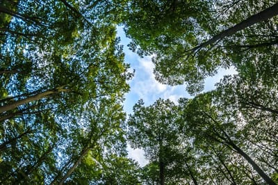 О погоде на Гродненщине 19-21 августа