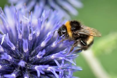 О погоде на Гродненщине 19-21 июля. Прогноз обещает грозовое небо