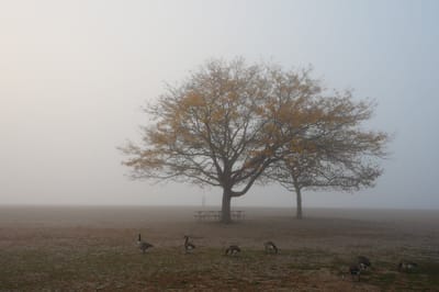 О погоде на Гродненщине 28-30 ноября