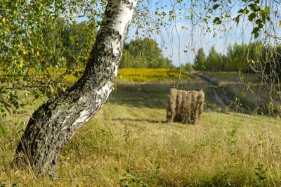 О погоде на Гродненщине в первые дни осени