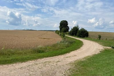 Очень сильные дожди: прогноз погоды на 30 июля – 1 августа по Гродненской области