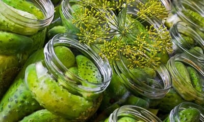 Огурцы по-дедовски: не мутнеют, не взрываются и всегда хрустят