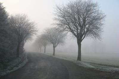 Оранжевый уровень: о погоде на Гродненщине 20-22 декабря