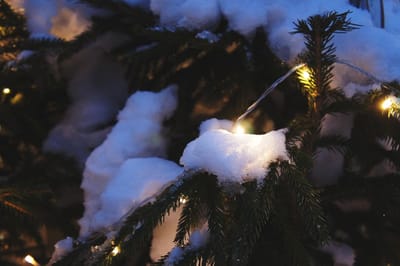 Оранжевый уровень: о погоде на Гродненщине 26-28 декабря