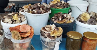 Осенний рынок в Слониме: сколько стоят яблоки, грибы и хурма