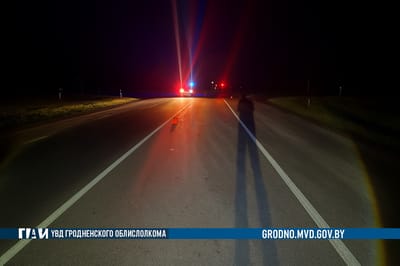 Пешеход погиб под колесами BMW в Дятловском районе