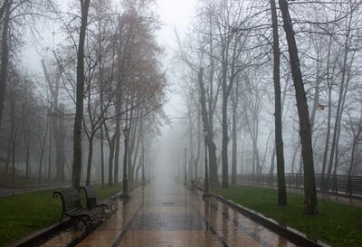 Почти весна: о погоде на Гродненщине 9-11 декабря