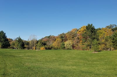 Погода обещает тепло и солнце: прогноз по Гродненщине на 7-9 сентября
