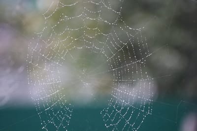 Погода в Гродно на 16-18 сентября: кратковременные дожди и постепенное похолодание