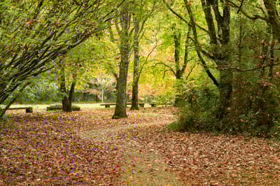 Похолодает. О погоде на Гродненщине 11-13 октября