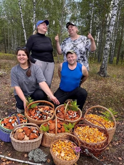 Последний месяц лета: у одних грибников — полные корзины, у других — почти пустые ведра