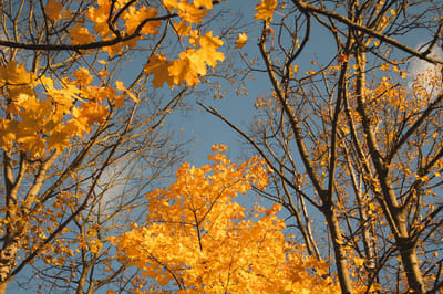 Прогноз погоды на 3-5 ноября по Гродненской области