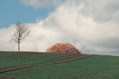 Прогноз погоды по Гродненской области на 21-23 октября