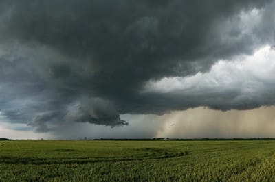 Сильные ливни. О погоде на Гродненщине 24-26 июня