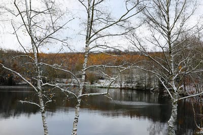 Синоптики предупредили о наступающем похолодании. О погоде на 11-13 декабря на Гродненщине