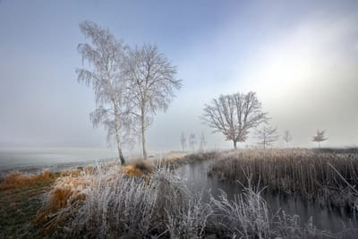 Синоптики рассказали, каких морозов ожидать в Гродненской области в выходные