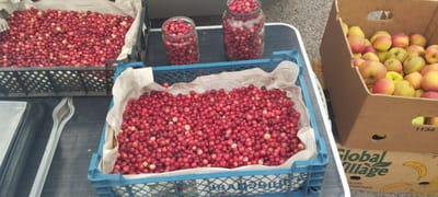 Сколько заплатят белорусам за грибы, клюкву и овощи при сдаче урожая