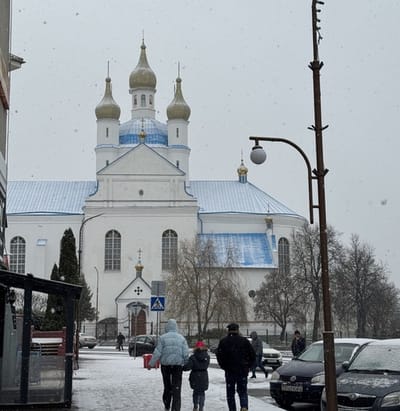 Слоним встретил первый снег
