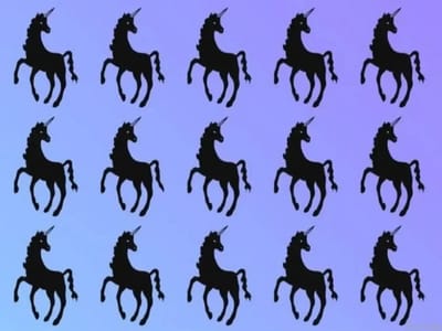 Сможете найти единорога с подвохом? Тогда у вас орлиный глаз!