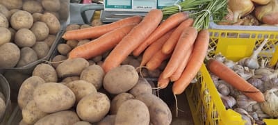 Стало известно, когда и где пройдут сельскохозяйственные ярмарки в Слониме в октябре