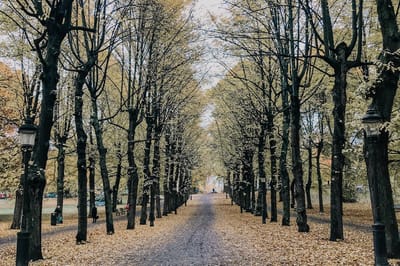 Такого ноября никто не ждал. Чем удивит последний месяц осени?