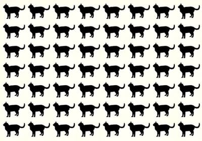 Тест на IQ: сможете ли вы найти непохожую на остальных кошку за 25 секунд?