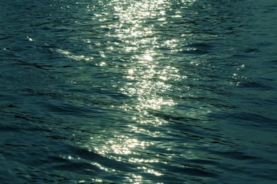 Трагедия в Гродненском районе: в водоеме утонул мужчина