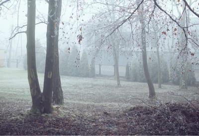 Туман и гололед: прогноз погоды по Гродненщине на 16-18 декабря