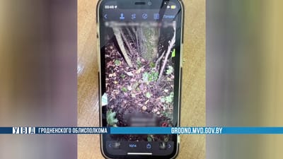 У 23-летнего жителя Гродно изъяли свыше 100 граммов психотропов