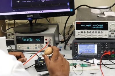 Учёные научились получать электричество из скорлупы грецких орехов