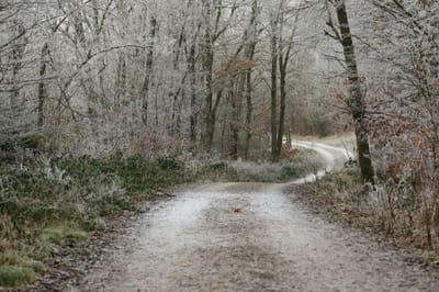Утепляемся: резкая смена погоды на Гродненщине 22-24 ноября