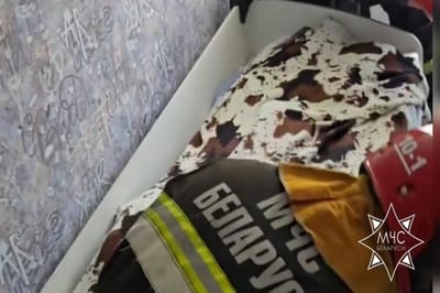 Утро началось с визита незваной гостьи — пришлось вызывать спасателей