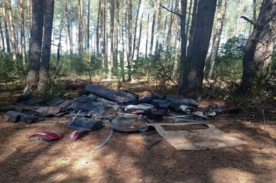 В Альбертинском лесничестве установили виновного в загрязнении леса