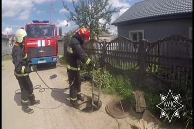 В Барановичах спасатели пришли на помощь собаке. Что случилось с псом?