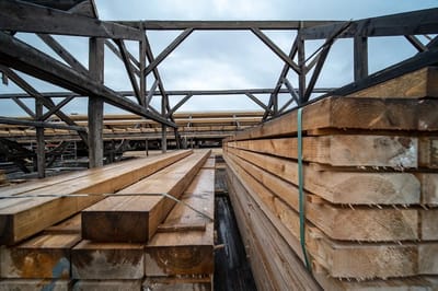 В Беларуси планируют построить новое целлюлозно-картонное производство. Где оно разместится