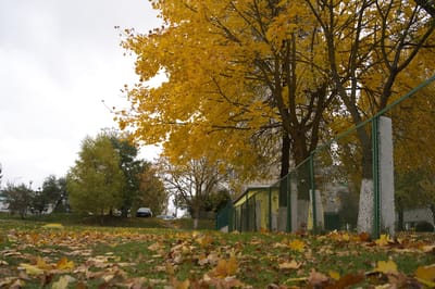 В Гродненской области в начале октября ожидаются заморозки до -4 градусов