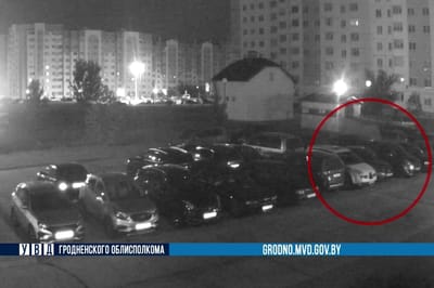 В Гродно женщина с топором разгромила машину возлюбленного