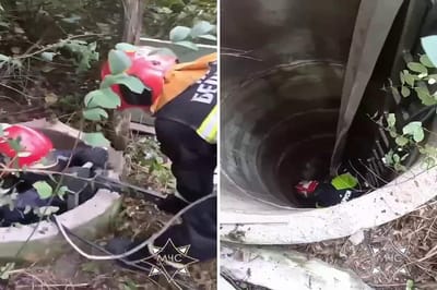 В Ивановском районе спасатели МЧС вытащили овцу из колодца