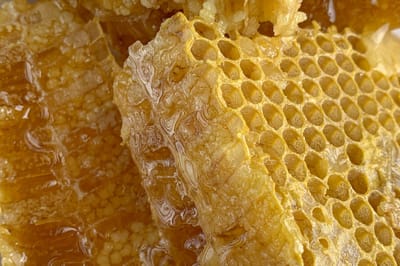В каких лесхозах производят самый качественный мед