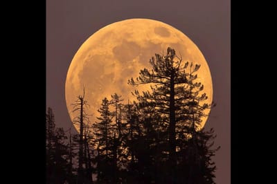 В небе над Беларусью взойдет Урожайная Луна — самое крупное суперлуние 2025 года