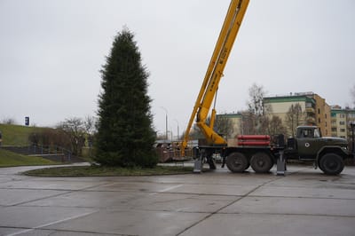 В Слониме устанавливают ещё одну новогоднюю ёлку