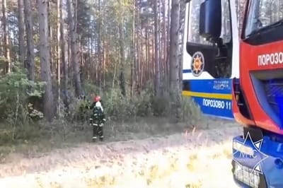 В Свислочском районе мужчина приехал с женой в лес за грибами и заблудился