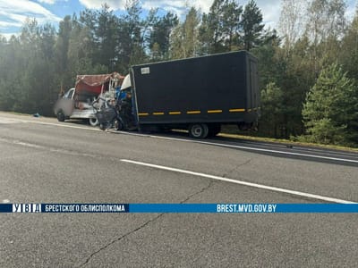 Водитель фуры уснул за рулем и устроил аварию под Барановичами