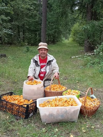 «Я не сдаюсь, но больше не могу!» — грибники валятся с ног, но грибы не отпускают